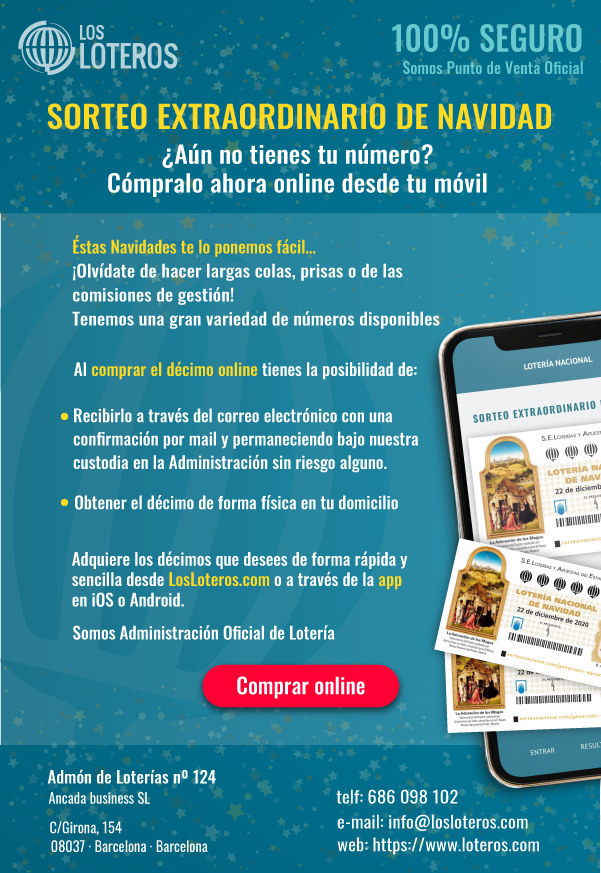 Newsletter_Navidad_Particulares (1)